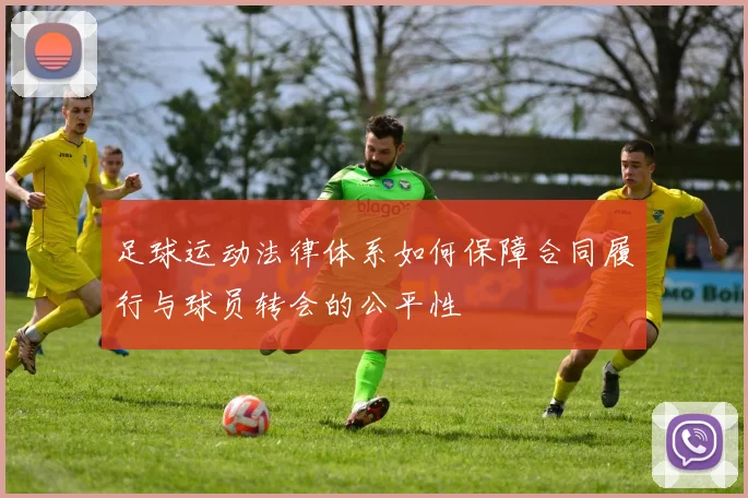 足球运动法律体系如何保障合同履行与球员转会的公平性