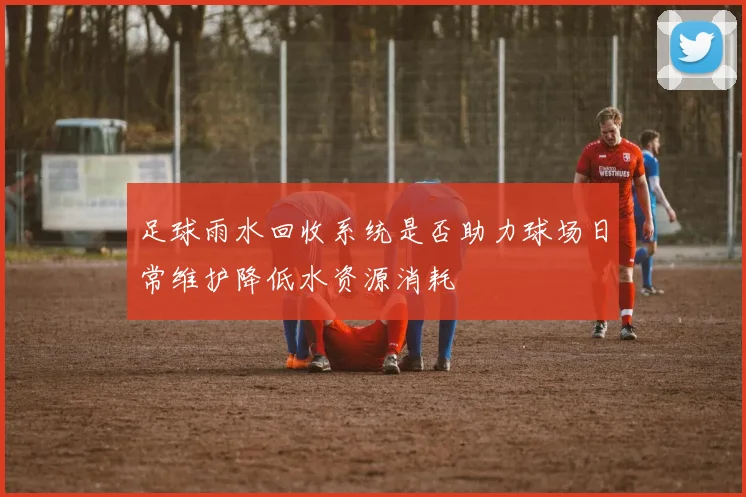 足球雨水回收系统是否助力球场日常维护降低水资源消耗