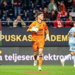 华体会hth登录入口-法甲联赛最佳中场球员综合评价